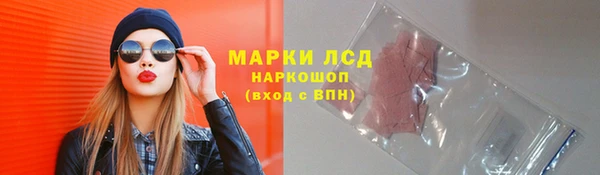 стафф Елизово