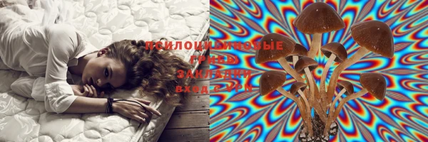 винт Дмитриев