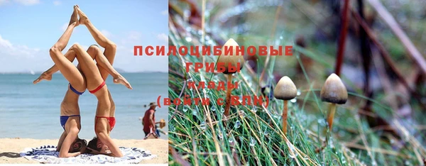 винт Дмитриев