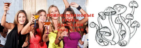 стафф Елизово