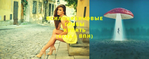 apvp Слюдянка